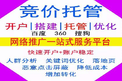 SEM网络推广案例：精准营销助力品牌成长